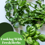 Cooking with fresh herbs to boost flavor and health: basil, cilantro, rosemary, thyme, dill and much more