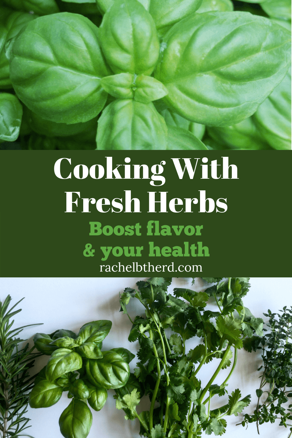 Cooking with fresh herbs to boost flavor and health: basil, cilantro, rosemary, thyme, dill and much more