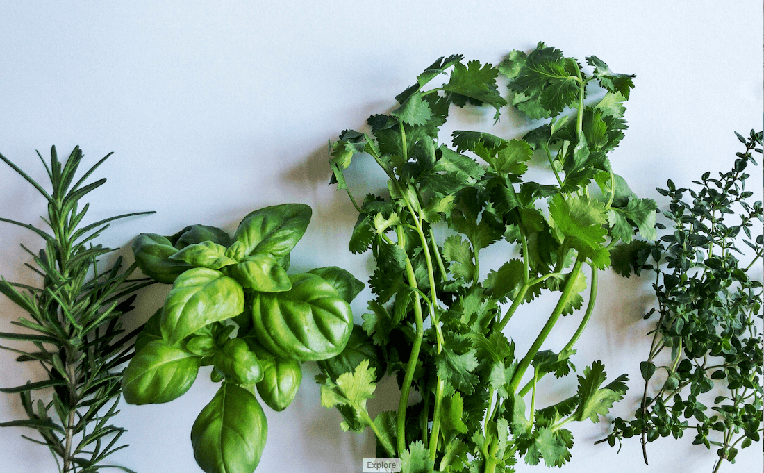 Cooking with herbs- rosemary, basil, cilantro and thyme