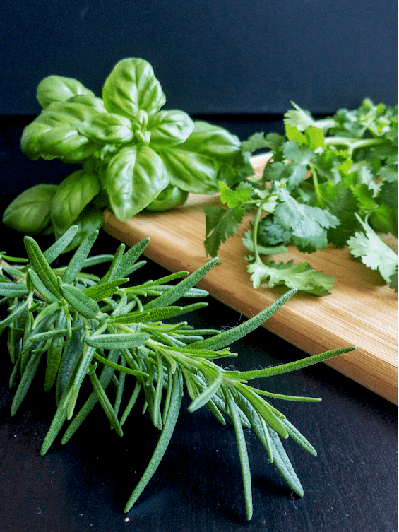 rosemary, basil, cilantro