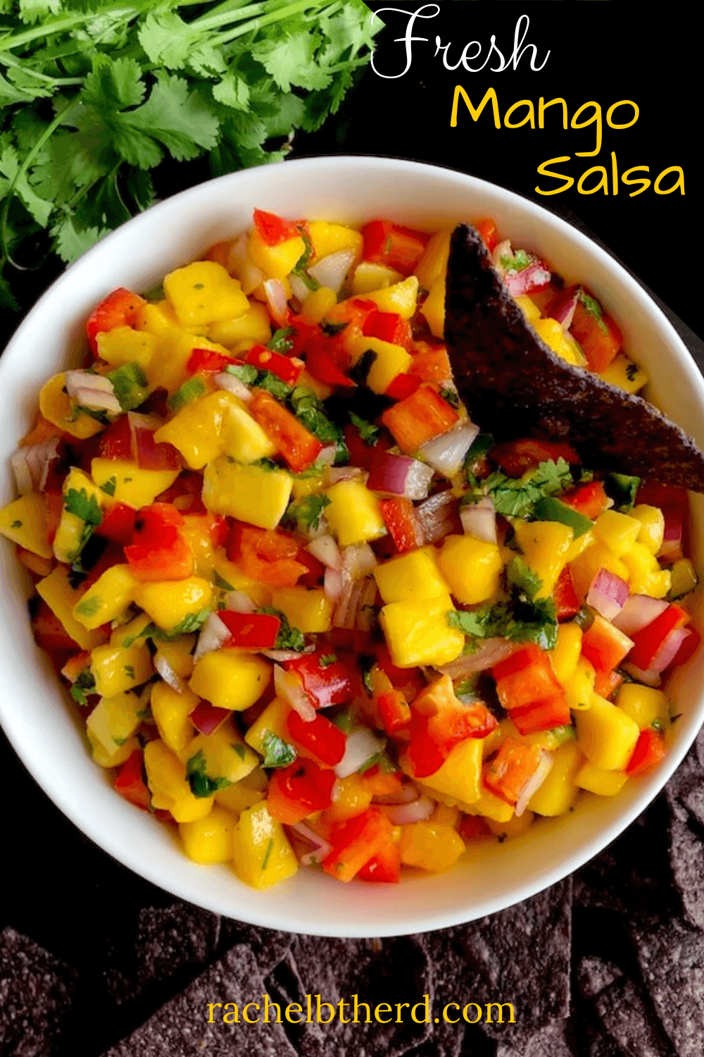 Mango salsa with chips
