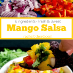 mango salsa chopped ingredients and served on a chip