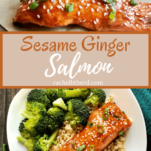 Sesame ginger salmon pinterest