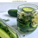 Refrigerator pickles