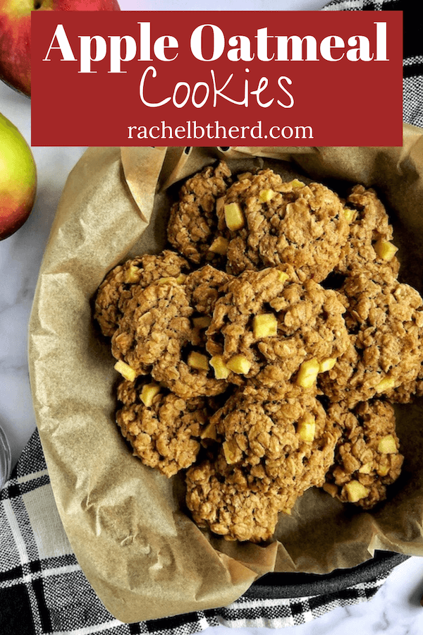 Apple Oatmeal Cookies