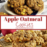 Apple Oatmeal Cookies