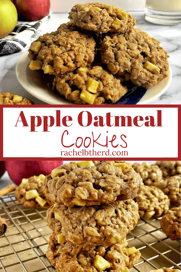 Apple Oatmeal Cookies