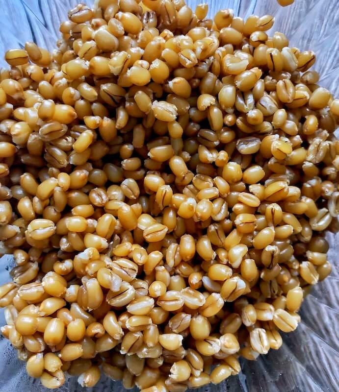 What are Wheat berries?
