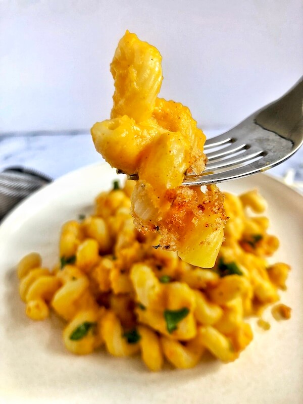 up close mac and cheese with butternut squash